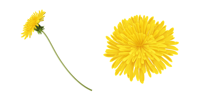 Yellow Dandelioncustom cursor pack