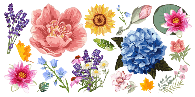 Flowers cursor collection