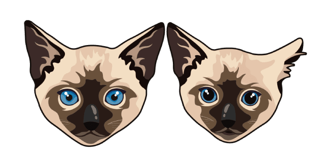 Siamese Cat and Kittencustom cursor pack