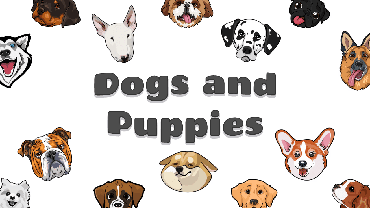 Dogs and Puppies