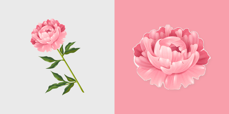 Peony Cursor Pack - Custom Window Cursors