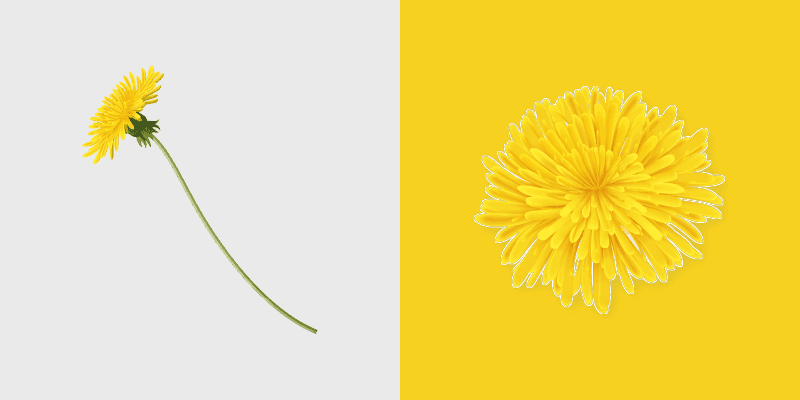 Dandelion Delight Cursor Pack